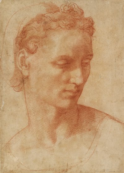 Head of a Woman, early 16th century by Baccio Bandinelli