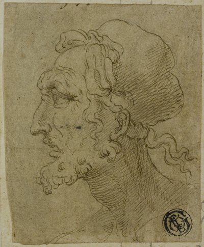 Male Head in Profile by Baldassare Peruzzi