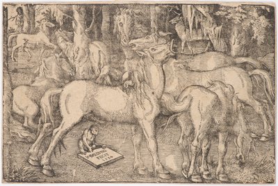 Group of Seven Horses, 1534 by Baldung