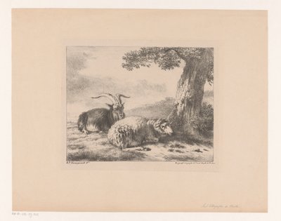 Goat and Sheep by Balthasar Paul Ommeganck