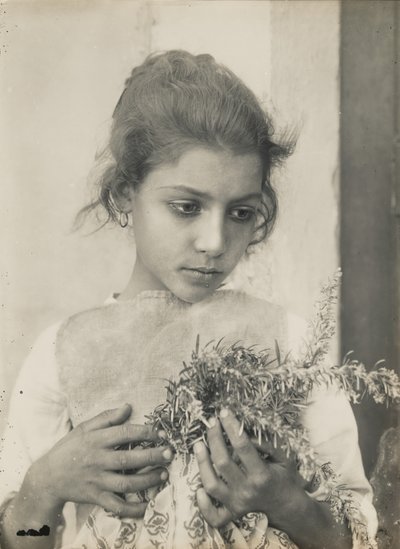 Girl with Rosemary by Baron Wilhelm von Gloeden