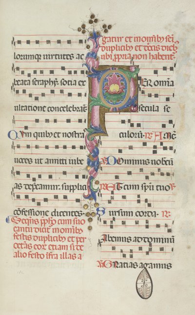 Missale: Fol. 184: Foliage by Bartolomeo Caporali
