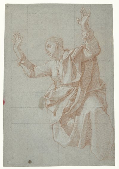 Study of a Young Man by Bartolomeo Cesi