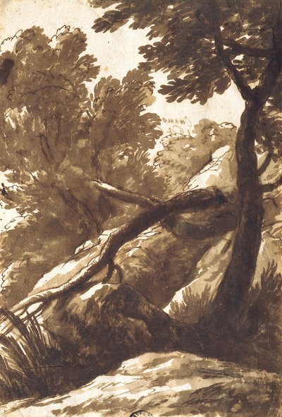 Wooded Landscape by Bartolomeo Torregiani