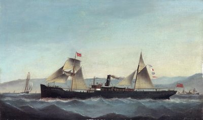 S.S. Glanrheidol by Basi Ivancovich