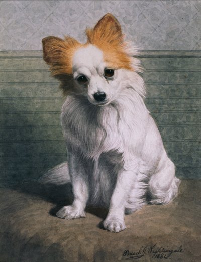 Toy Dog by Basil J. Nightingale