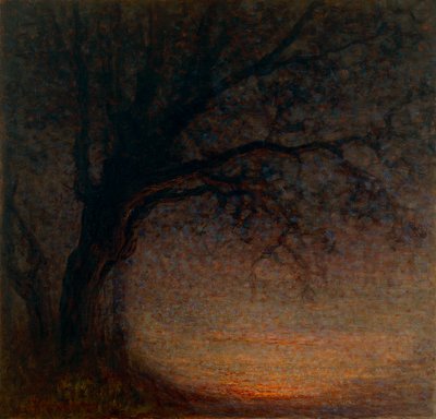 Dead Tree by Battista Constantini