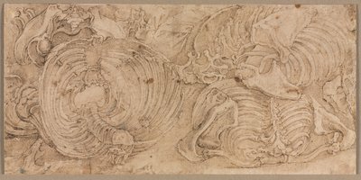 Rib Cages by Battista Franco
