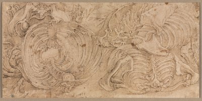 Rib Cages, early 1540s by Battista Franco