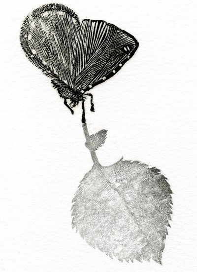 Suspense by Bella Larsson