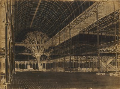 Crystal Palace, Hyde Park, Transept by Benjamin Brecknell Turner