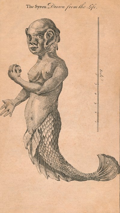 The Syren Drawn from the Life, 1759 by Benjamin Cole