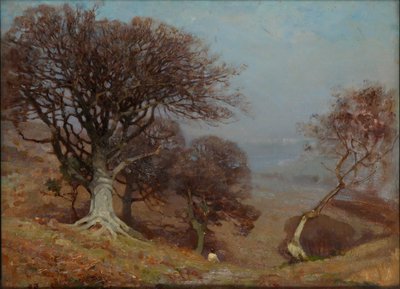 Beeches on the Quantocks by Benjamin Haughton