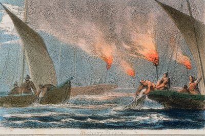 Anchovy Fishing by Benjamin Waterhouse Hawkins