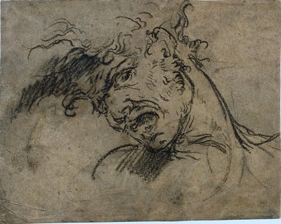 Head of a Screaming Man (recto) by Benjamin West