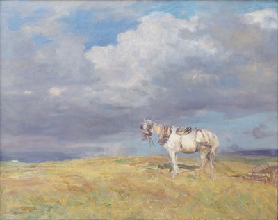 White Horse by Beppe Ciardi