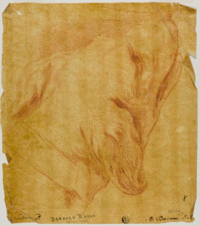 Head of a Dog by Bernard Baron