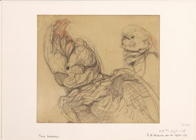 Two Cockatoos, Half-Length by Bernard Willem Wierink