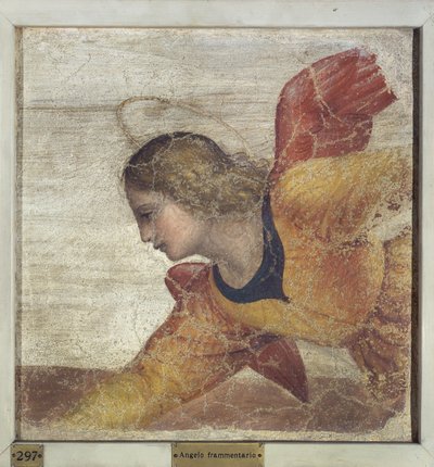 Angel by Bernardino Luini