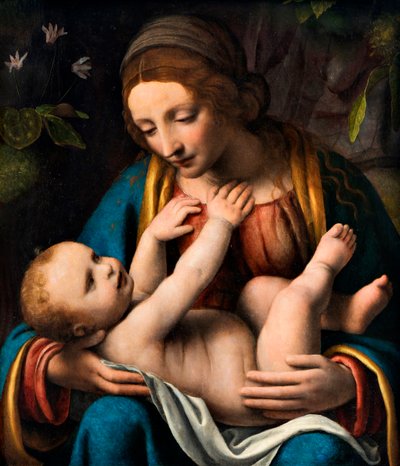 Madonna and Child by Bernardino Luini