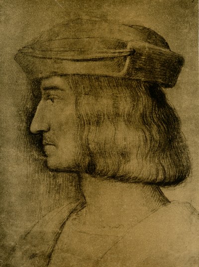Male Portrait by Bernardino Luini