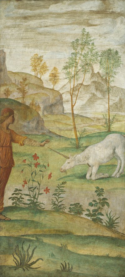 Procris and the Unicorn by Bernardino Luini