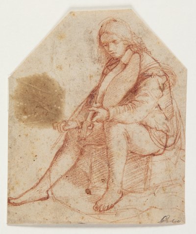 Seated Youth with Viola by Bernardino Luini