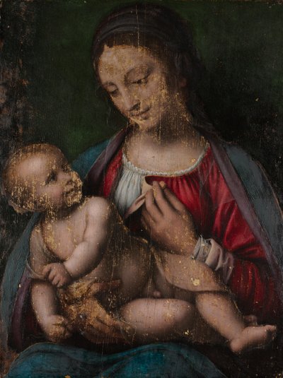 Virgin and Child, c.1500 by Bernardino Luini