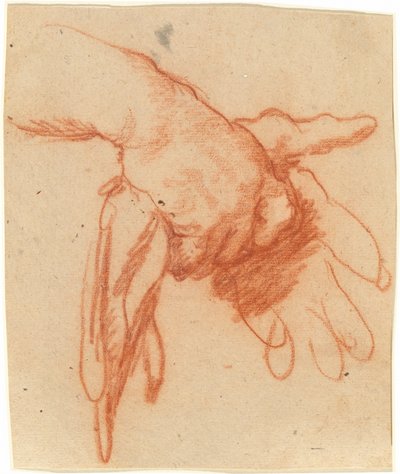 A Hand Holding Empty Gloves by Bernardo Strozzi