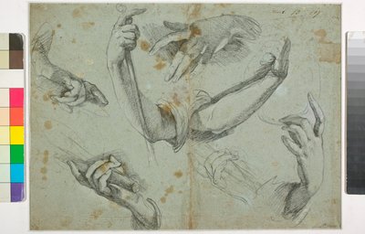 Unknown Image by Bernardo Strozzi