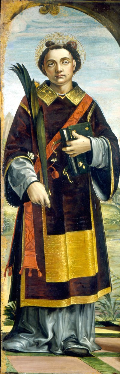 Saint Stephen by Bernardo Zenale