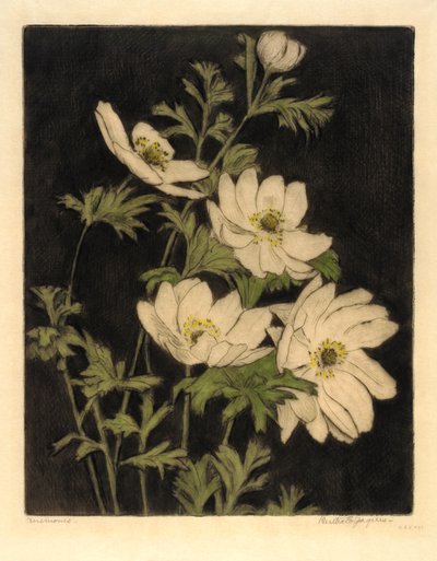 Anemones by Bertha E. Jaques
