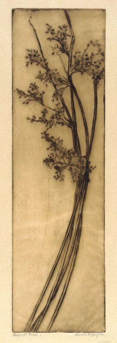 Bayonet Rush by Bertha E. Jaques