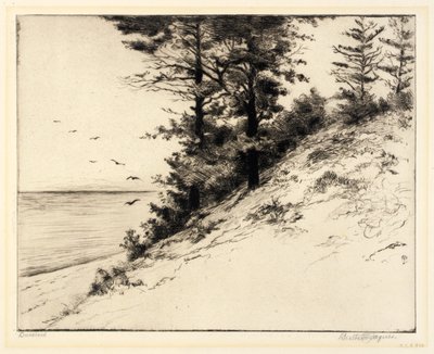 Duneland by Bertha E. Jaques