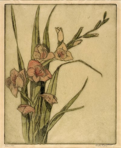 Gladiola by Bertha E. Jaques
