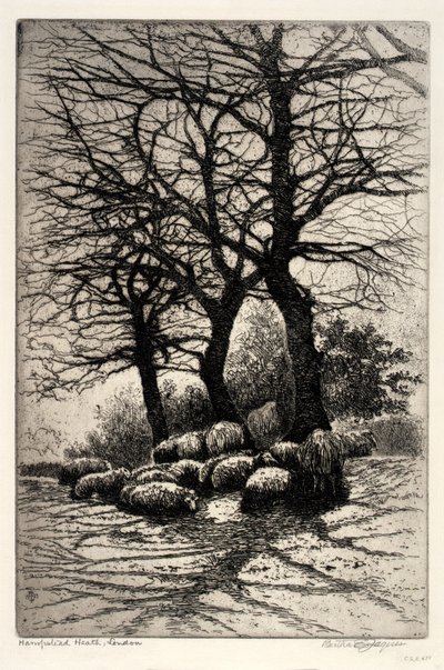 Hampstead Heath, London by Bertha E. Jaques