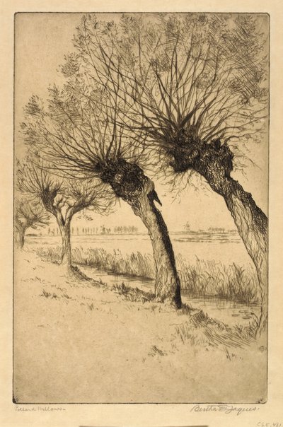 Pollard Willows, Rijsord, Holland by Bertha E. Jaques