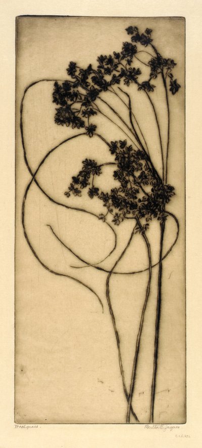 Woolgrass by Bertha E. Jaques