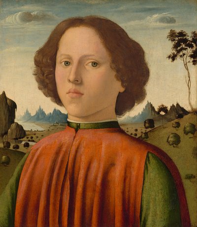 Portrait of a Boy by Biagio d