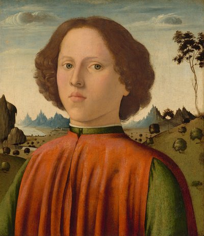 Portrait of a Boy by Biagio d