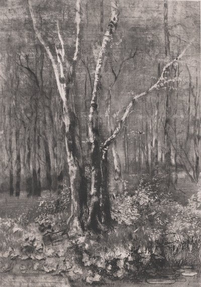 Woods in the Park near Monza by Bianchi Mose