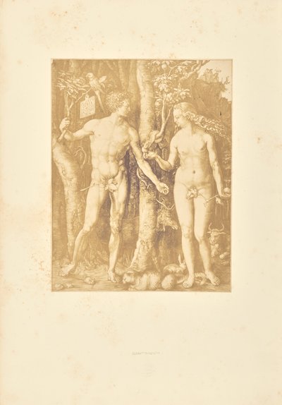 Adam and Eve by Bisson Frères