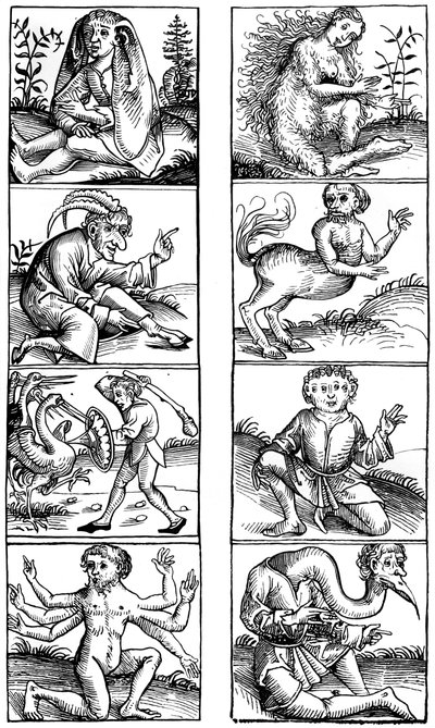 Beliefs and Popular Superstitions by Bisson and Cottard