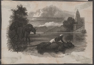 Farmers carry dead cattle, ca. 1850 by Blasius Höfel