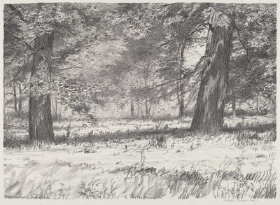 Two Maples by Bolton Brown
