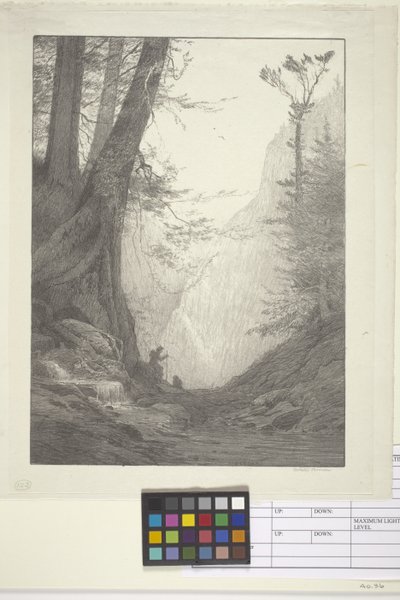 Big Cedars by Bolton Coit Brown
