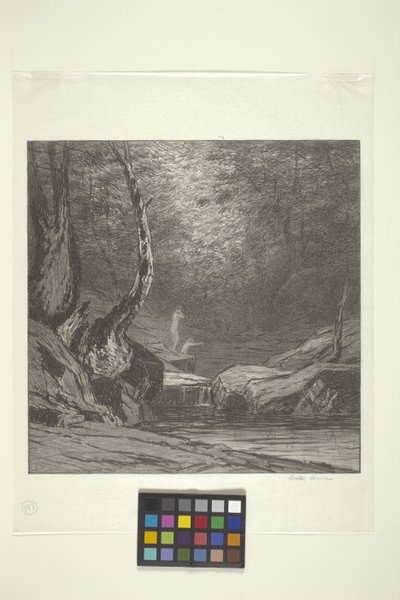 Crooked Tree by Bolton Coit Brown