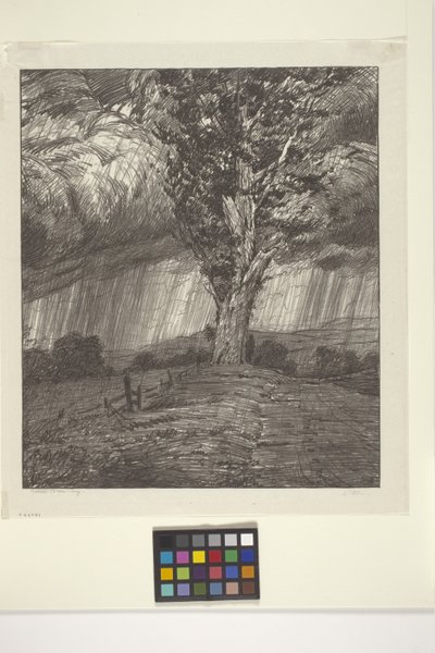 Storm by Bolton Coit Brown