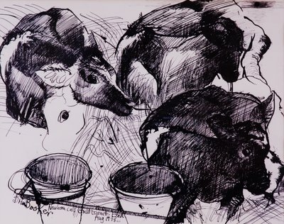 Calves, Damp, Newborn by Brenda Brin Booker