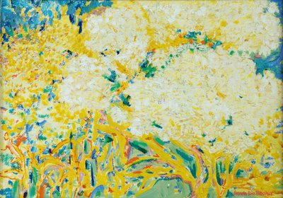 The Elderflower Tree by Brenda Brin Booker